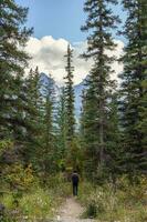 Man traveler walking in the forest with mountain at national park photo