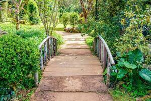 Walkway bridge sylvan photo