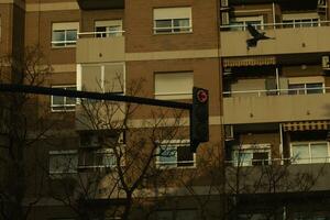 Traffic light in front of a block of apartments photo