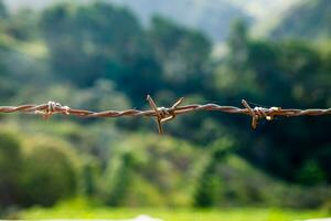 Wire coil rust cobweb hung in farm photo