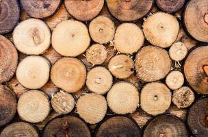 Wood log brown overlay pattern photo