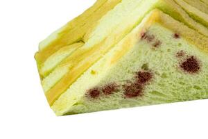 Moldy Sandwich food toxic photo