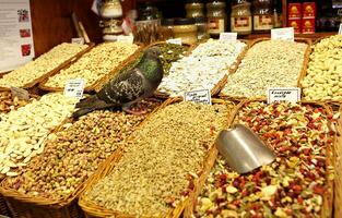 Grocery store with pigeon photo