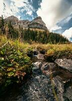 Scenery of Rocky mountains and stream flowing in autumn forest at Assiniboine provincial park photo