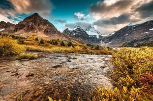 Mount Assiniboine over golden wilderness and stream flowing in provincial park photo