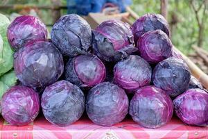 Purple cabbage stack on table photo