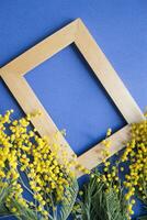 Spring concert. Mimosa and gold frame on blue background. Mimosa close-up. Happy spring. photo