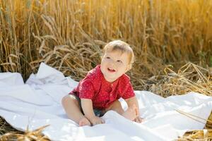 Sweet eight-month-old baby boy sitting on a blanket in a field photo
