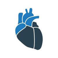 humano interno Organo corazón icono aislado en blanco antecedentes. vector icono para médico aplicaciones y web.