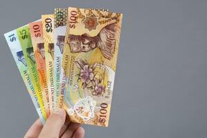 Brunei dinero en el mano en un gris antecedentes foto