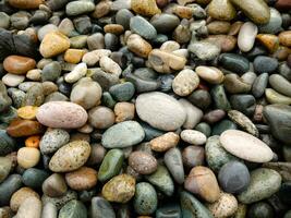 Wet color pebbles on the beach. photo