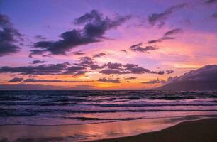 Tropical sea sunset tree sky view background photo