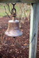 Vintage bell ornament photo