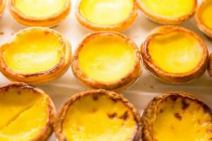 Portuguese Egg Custard photo