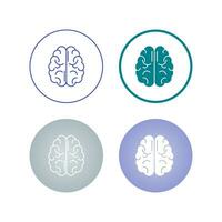 Brain Vector Icon