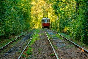 Tram and tram rails in colorful forest photo