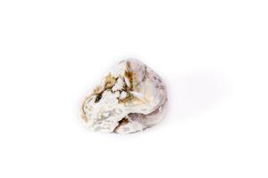 Macro mineral stone Jasper oceanic on a white background photo