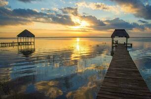 Tropical sea sunset tree sky view background photo