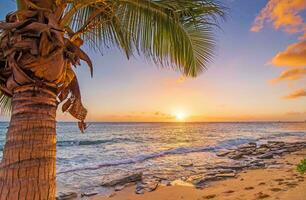 Tropical sea sunset tree sky view background photo