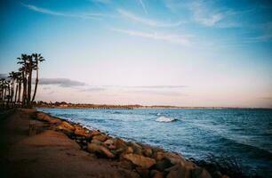 Tropical sea sunset tree sky view background photo