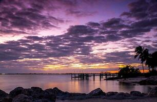 Tropical sea sunset tree sky view background photo