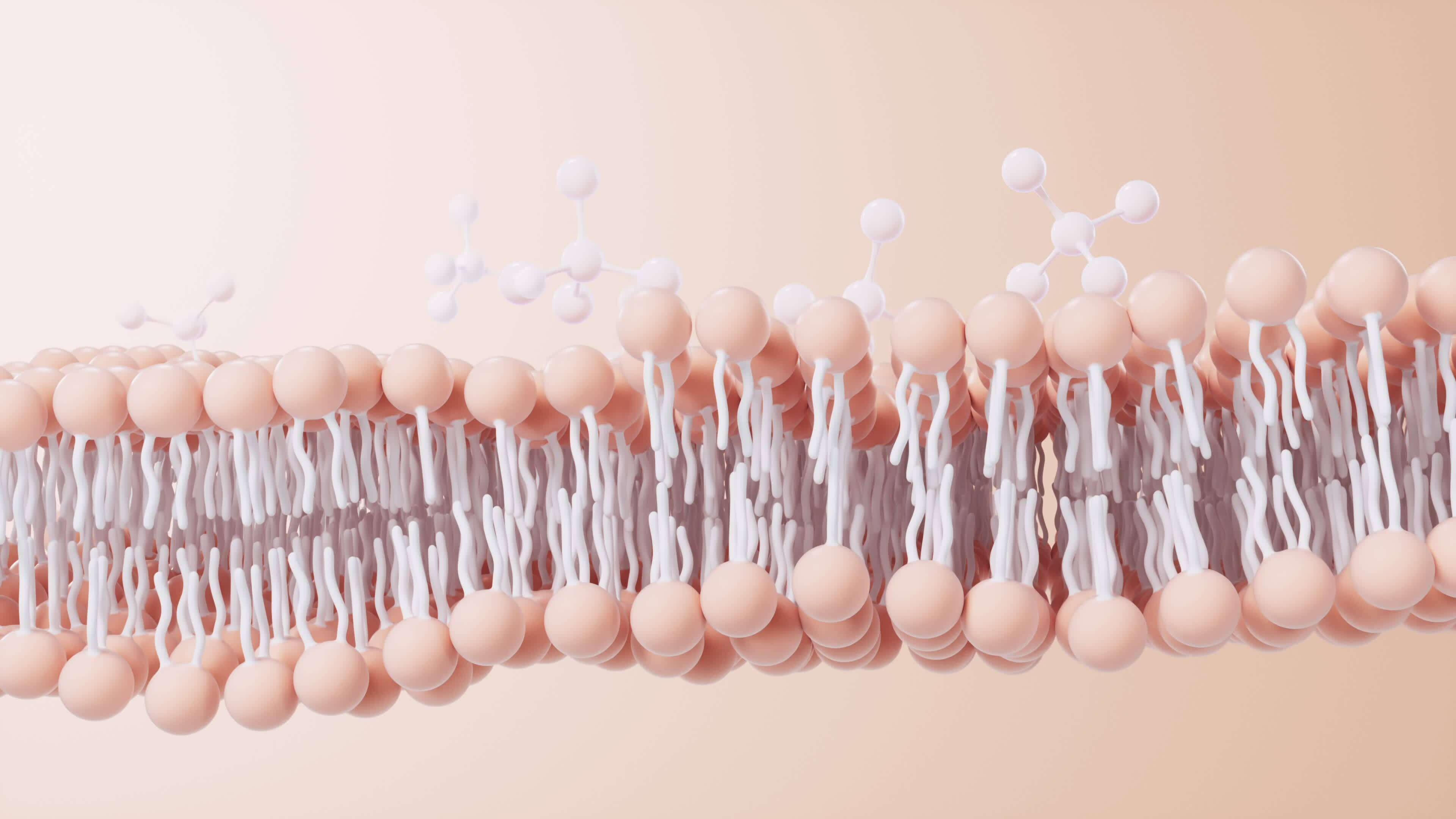 Cell membrane structure background, 3d rendering. 27826113 Stock Video