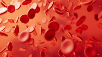 sangre y rojo sangre células, 3d representación. video