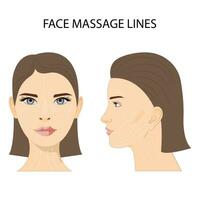 facial masaje esquema, visual masaje guía. antienvejecimiento, levantamiento métodos de esculpir puntada modelo para radiante y multa piel vector