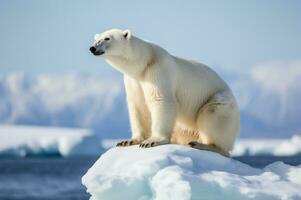 polar oso en iceberg en sus natural habitat en el ártico círculo. ai generado foto