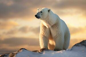 Polar bear in its natural habitat in the Arctic Circle. AI generated photo