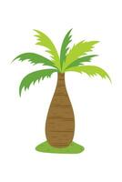 Palm Tree Illustration In Flat Style Isolated In White Background. Tropical Summer Plant Illustration. vector