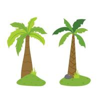 Palm Tree Illustration In Flat Style Isolated In White Background. Tropical Summer Plant Illustration. vector