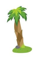 Palm Tree Illustration In Flat Style Isolated In White Background. Tropical Summer Plant Illustration. vector