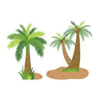 Palm Tree Illustration In Flat Style Isolated In White Background. Tropical Summer Plant Illustration. vector