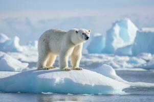 polar oso en iceberg en sus natural habitat en el ártico círculo. ai generado foto