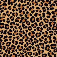 Leopard print pattern seamless background and printing or home decorate and more. vector