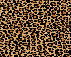 Leopard print pattern seamless background and printing or home decorate and more. vector