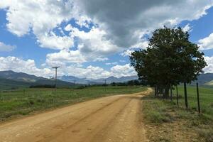 Gravel road lined with trees to the mountain photo