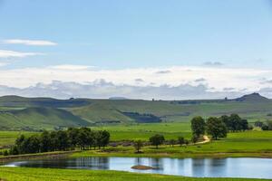 Water surrounded by green grass photo