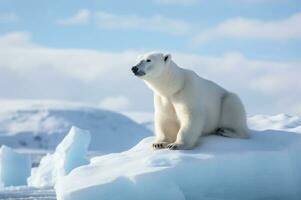 polar oso en iceberg en sus natural habitat en el ártico círculo. ai generado foto