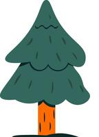 spruce flat illustration, full color icon vector