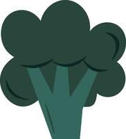 broccoli flat illustration, full color icon vector