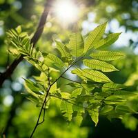 verde hojas en bosque naturaleza ai generativo foto