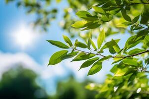 Fresh Green Leaves on Forest Environment AI Generative photo