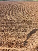 Preparation cassava product tillage planting crops in plots,empty plowed field ,deep furrows in the ground, furrows in a field after plowing it background of newly plowed field ready for crops photo
