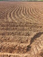 preparación mandioca producto labranza plantando cultivos en parcelas vacías arado campo ,profundo surcos en el suelo, surcos en un campo después arada eso antecedentes de recién arado campo Listo para cultivos foto