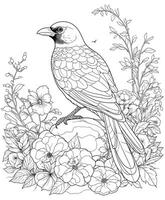 Magpie Birds flowers coloring pages for kids vector
