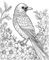 Magpie Birds flowers coloring pages vector