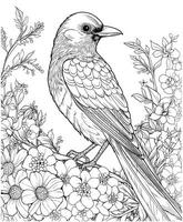 urraca aves flores colorante paginas vector