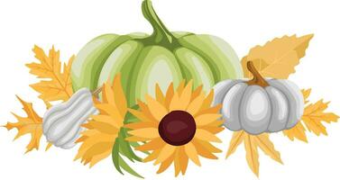 Autumn Pumpkins, sunflowers, leaves, nature botanical decorative collection. vector